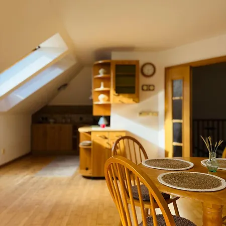 Srdce Mesta V Podkroví - Slnečný S Balkónom Appartamento Stará Turá